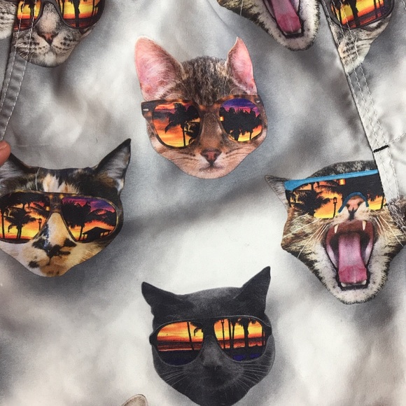 Cool cat shorts - Picture 4 of 4